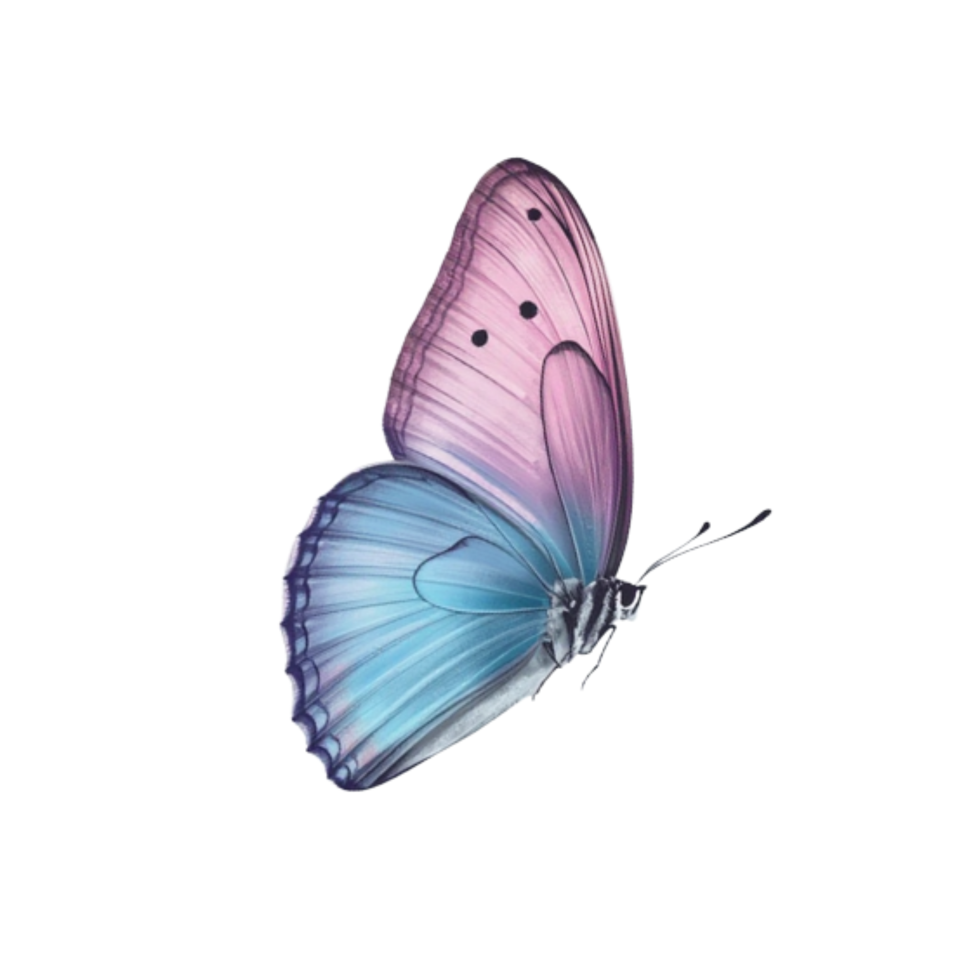 Mélodie St-Georges, physiothérapeute